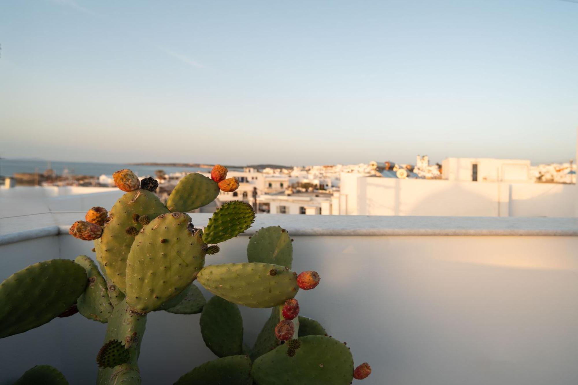 Nevma Naousa Boutique Apartment Eksteriør bilde